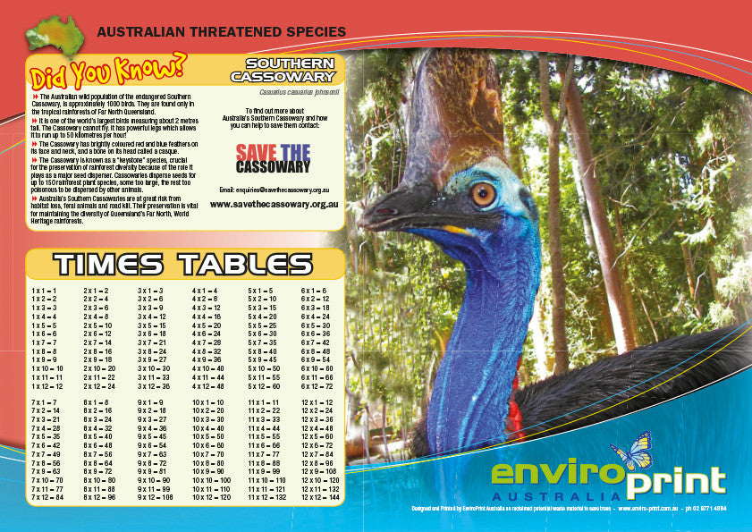 Cassowary Times Table Sheet (Pack)