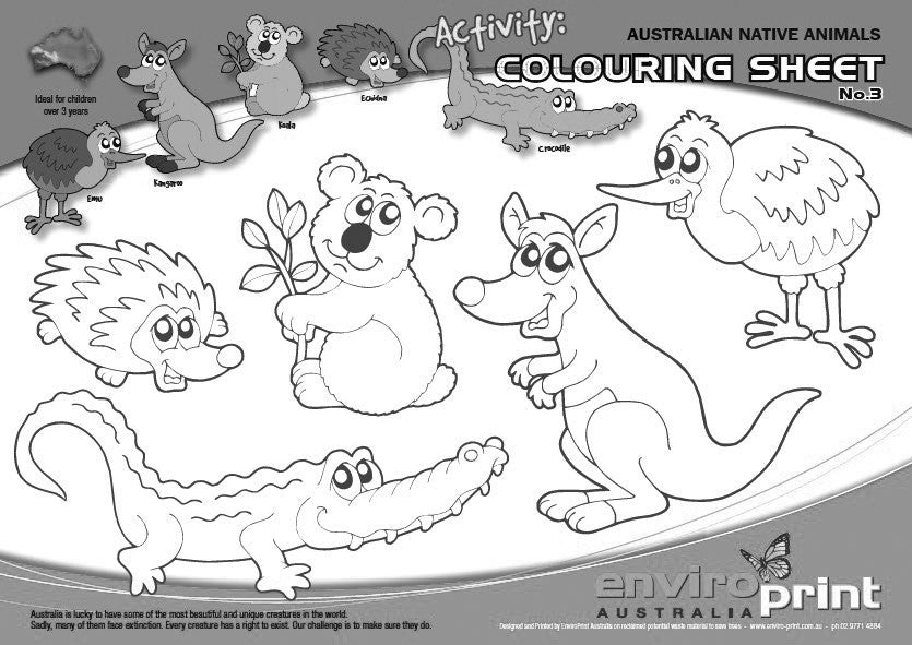 Australian Native Species Colouring Sheet No.3 (Pack)
