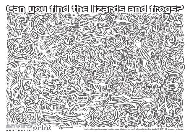 Find the Lizards & Frogs Colouring Sheet (Pack)