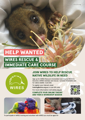 Leaflet - WIRE0034 - WIRES Rescue & Immediate Care Course INFO - A4 (25 Pack)