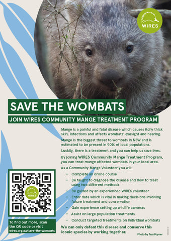 Mange - WIRE0046 - WIRES Community Mange Treatment Program Poster - A4 (10 Pack)