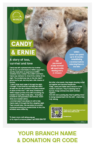 Download - WIRE0066 - WIRES Branch Candy & Ernie QR Code Donation PDF