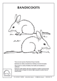 Educational Download - WIRE0075 - WIRES Activity Sheets PDF