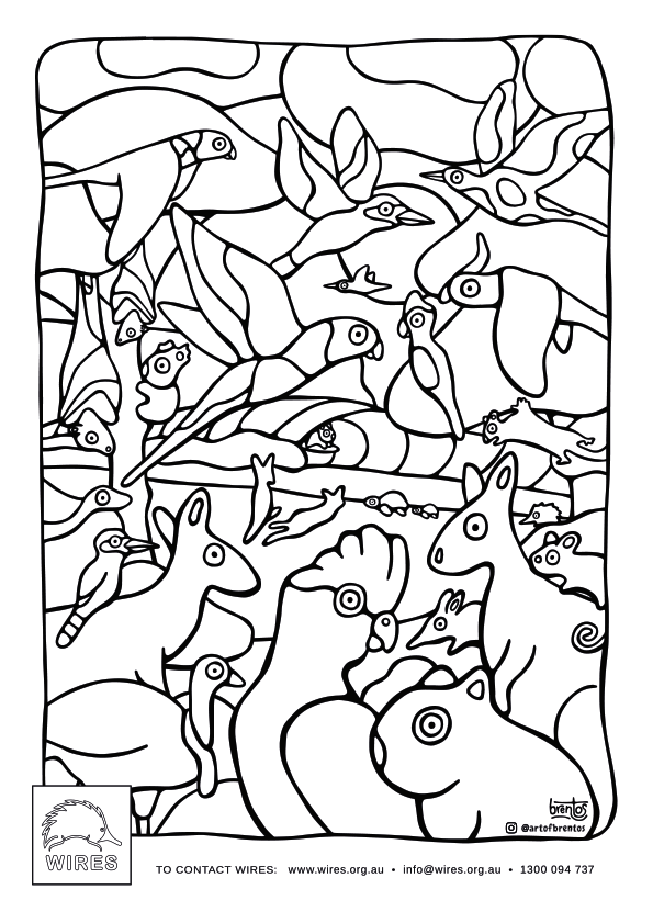 Educational Download - WIRE0075 - WIRES Activity Sheets PDF