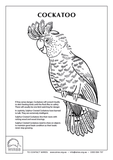 Educational Download - WIRE0075 - WIRES Activity Sheets PDF