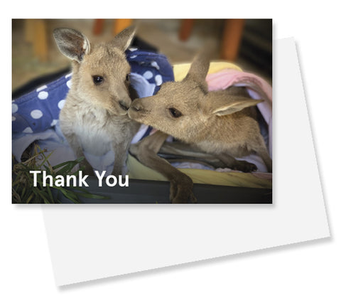 Card - WIRE0004 V3 - WIRES A6 Thank You Gift Cards (Joey Kiss) (20 Pack) with C6 Envelopes