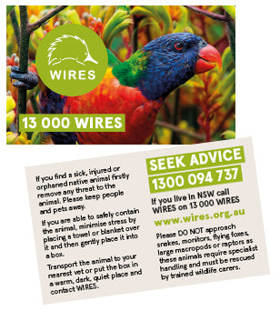 Card - WIRE0027 - WIRES Rescue IntaCards (Lorikeet) (Box 250)