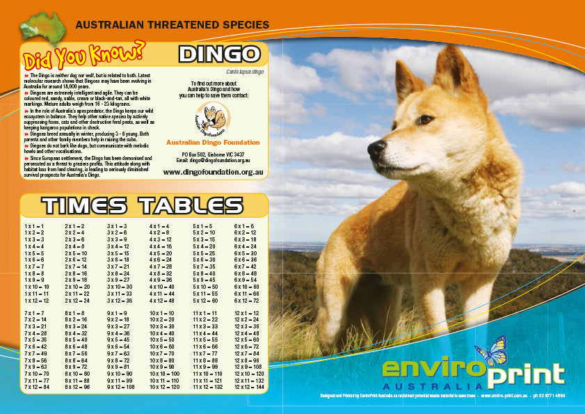 Dingo Times Table Sheet (Pack)