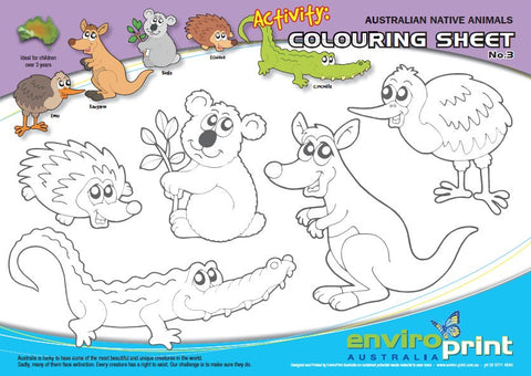 Australian Native Species Colouring Sheet No.3 (Pack)