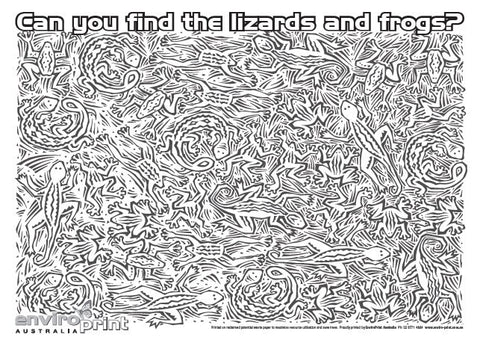 Find the Lizards & Frogs Colouring Sheet (Pack)