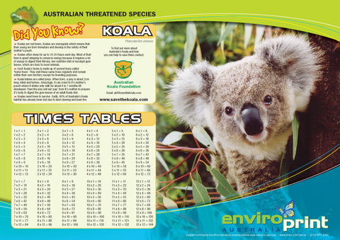Koala Times Table Sheet (Pack)
