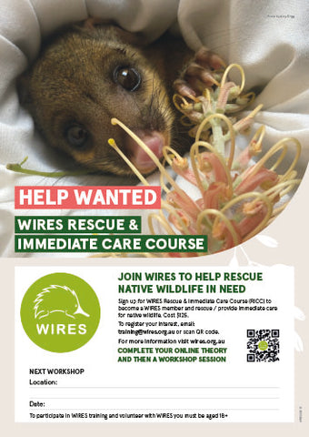 Leaflet - WIRE0033 - WIRES Rescue & Immediate Care Course LOCATION - A4 (25 Pack)