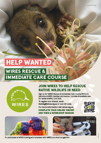 Leaflet - WIRE0034 - WIRES Rescue & Immediate Care Course INFO - A4 (25 Pack)