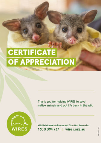 Cert - WIRE0001 - WIRES A5 Certificate of Appreciation (Possum) (25 Pack)