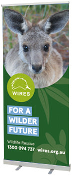 Event - WIRE0015 - WIRES Pull Up Banner - Kangaroo Joey