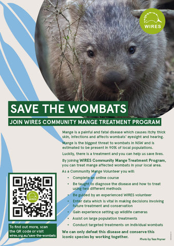 Mange - WIRE0046 - WIRES Community Mange Treatment Program Poster - A4 (10 Pack)