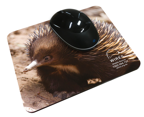 Merch - WIRE0020 - WIRES Mouse Mat (Echidna) (10 Pack)